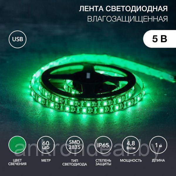 Лента светодиодная 5В, SMD2835, 4,8Вт/м, 60 LED/м, зеленый, 8мм, 1м, с USB коннектором, черная, IP65 - фото 1 - id-p220249195
