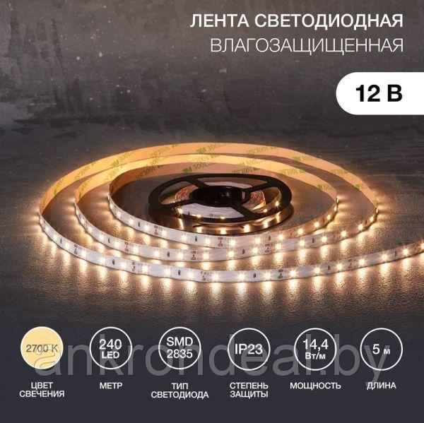 Лента светодиодная 12В, SMD2835, 240 LED/м, 3000К, 10мм, 5м, IP20 LAMPER - фото 1 - id-p220249197