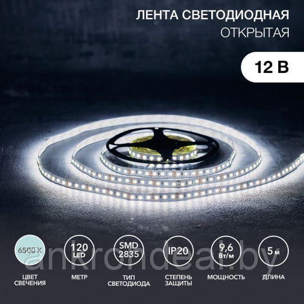 LED лента 5м 12 В, 8 мм, IP23, SMD 2835, 120 LED/m, 12 V, цвет свечения белый (6000 K) LAMPER
