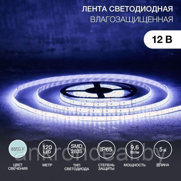 LED лента 5м силикон, 8 мм, IP65, SMD 2835, 120 LED/m, 12 V, цвет свечения белый LAMPER - фото 1 - id-p222386683