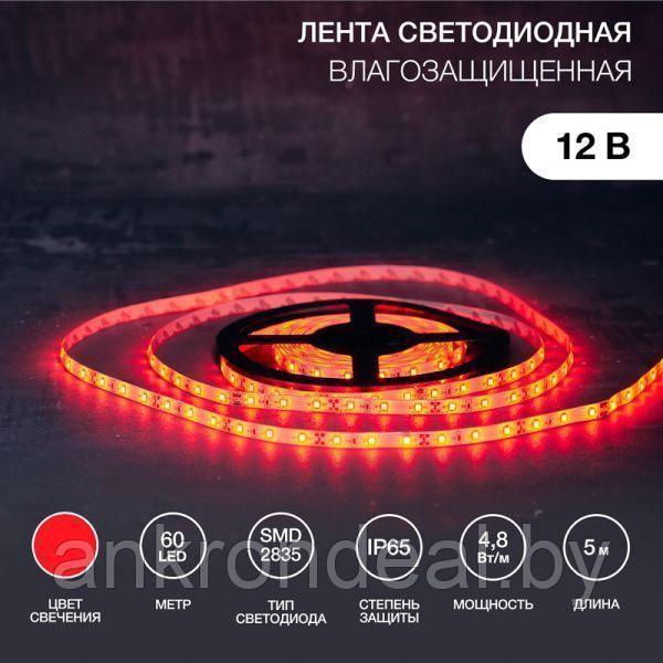 LED лента 5м силикон, 8 мм, IP65, SMD 2835, 60 LED/m, 12 V, цвет свечения красный LAMPER - фото 1 - id-p222386688