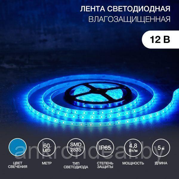 LED лента 5м силикон, 8 мм, IP65, SMD 2835, 60 LED/m, 12 V, цвет свечения синий LAMPER - фото 1 - id-p222386689
