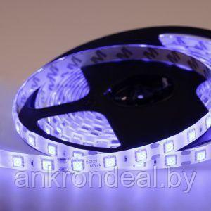 LED лента 5м силикон, 10 мм, IP65, SMD 5050, 60 LED/m, 12 V, цвет свечения синий LAMPER