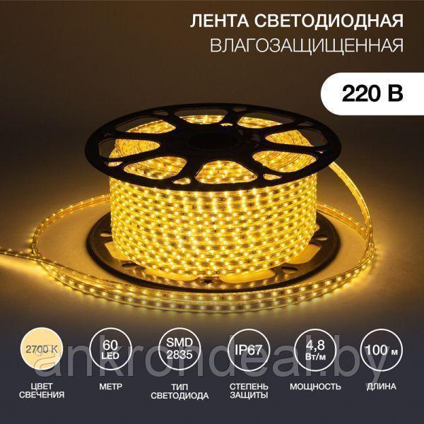 Лента светодиодная 220В, SMD2835, 4,8Вт/м, 60 LED/м, 3000K, 10х7мм, с кабелем питания,IP67 NEON-NIGH