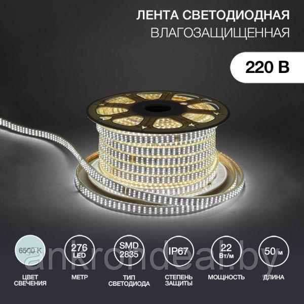 Лента светодиодная 220В, SMD2835, 276 LED/м, 6500К, 7,5x20мм, 50м, без установочного набора, IP67 NE