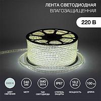 Лента светодиодная 220В, SMD3014, 19,2Вт/м, 240 LED/м, 6500K, 6,5х15мм, 100м, с кабелем питания, IP6