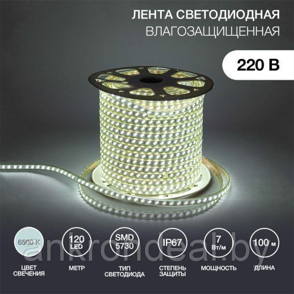 Лента светодиодная 220В, SMD5730, 7Вт/м, 120 LED/м, 6500К, 6,5х17мм, 100м, без установочного набора, IP67 - фото 1 - id-p222589448