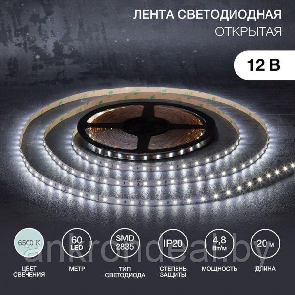 Лента светодиодная 12В, SMD2835, 4,8Вт/м, 60 LED/м, 6500К, 8мм, 20м, для БП с клеммами, IP20 LAMPER