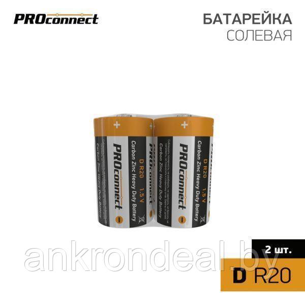 Батарейка солевая D/R20, 1,5В, 2 шт, термопленка PROconnect - фото 1 - id-p225484221