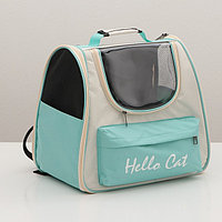 Рюкзак для переноски "Hello Cat", прозрачный, 32 х 21 х 35 см, белый