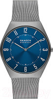 Часы наручные мужские Skagen SKW6829