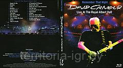 David Gilmour - Remember That Night (Live at The Royal Albert Hall)