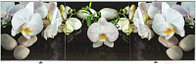 Экран для ванны Comfort Alumin Group Орхидея на черном 3D 170x50