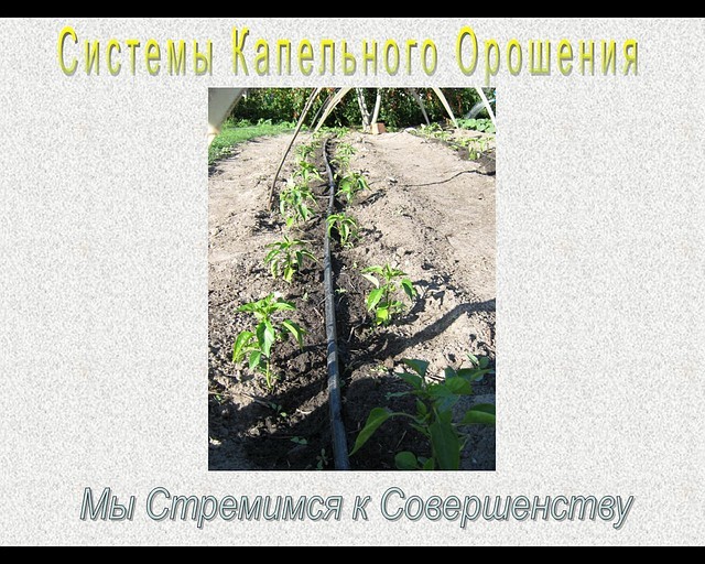 Системы Капельного полива. Продажа и Установка. Полная Комплектация.