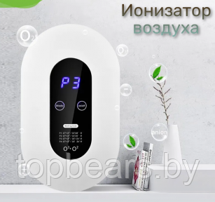 Портативный очиститель воздуха с функцией озонации и ионизации Air Purifier, 220 V (4 режима работы) / - фото 1 - id-p216384189