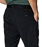 Шорты мужские Columbia Silver Ridge Utility Cargo Shorts черный 2030741-010, фото 5