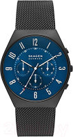 Часы наручные мужские Skagen SKW6841