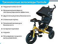 Детский трёхколёсный музыкальный велосипед Trike Formula 3 FA3GB