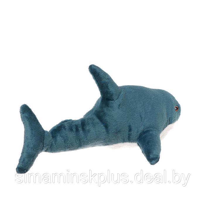 Мягкая игрушка «Акула», 40 см, БЛОХЭЙ - фото 3 - id-p226069771