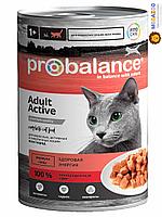 Влажный корм для кошек ProBalance Active Cat 415 гр