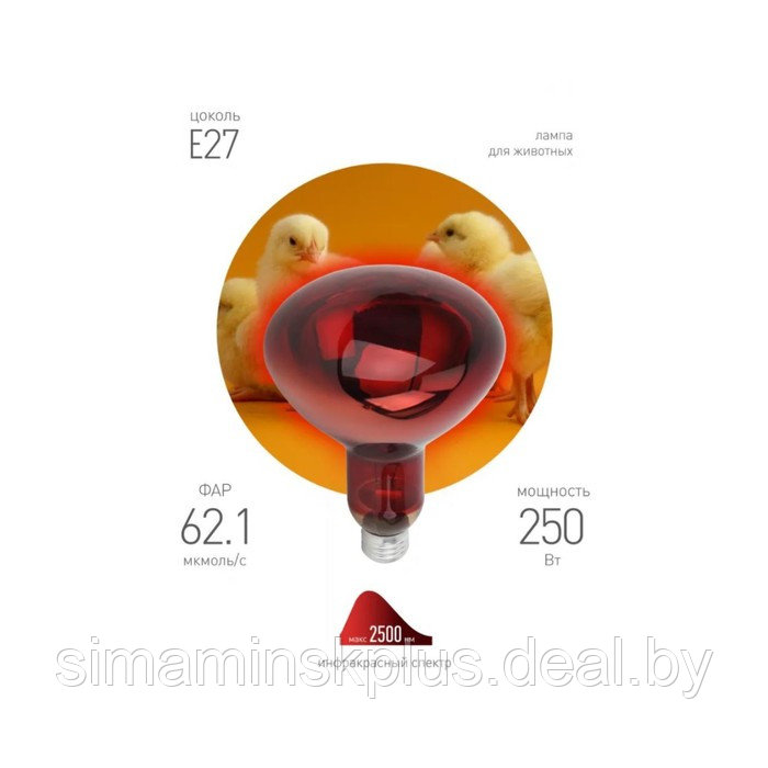 Инфракрасная лампа ЭРА ИКЗК 220-250 R127 для обогрева животных 250 Вт Е27 - фото 3 - id-p226077493