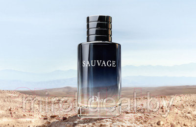 Парфюмерная вода Christian Dior Sauvage - фото 2 - id-p226080815
