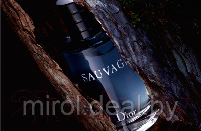 Парфюмерная вода Christian Dior Sauvage - фото 3 - id-p226080815