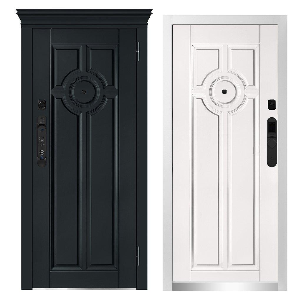 Двери металлические металюкс М-SP 1038 Е - фото 1 - id-p226082488