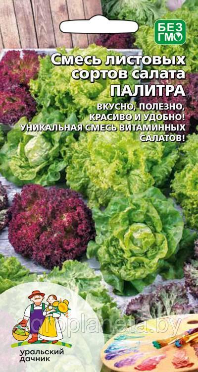 Салат смесь листовых сортов ПАЛИТРА, 0.25 г
