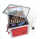 МультиИнкубатор ВЕСНА, фото 2