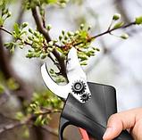 Секатор садовый аккумуляторный АКБ 48 W, фото 2