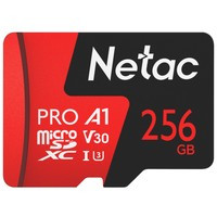 Карта памяти Netac 256GB 500 Extreme Pro NT02P500PRO-256G-R (с адаптером) - фото 1 - id-p226116497