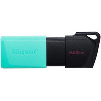 USB Flash Kingston DataTraveler Exodia M 256GB - фото 1 - id-p226116992