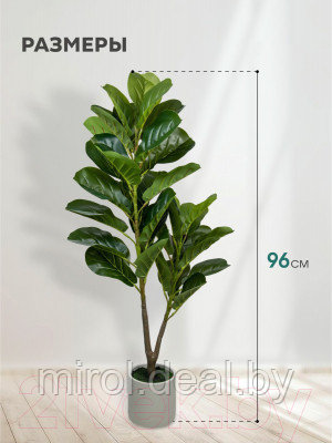 Искусственное растение Вещицы Фикус в цементном горшке Mia2 - фото 5 - id-p226124269