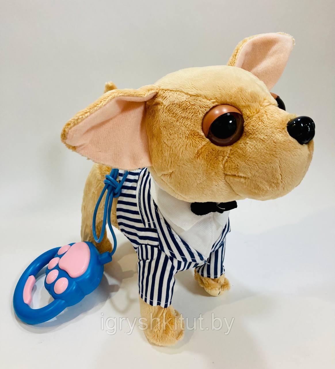 Собачка детская интерактивная Чичилав, игрушка на батарейках со звуком, в ассортименте - фото 4 - id-p224535534