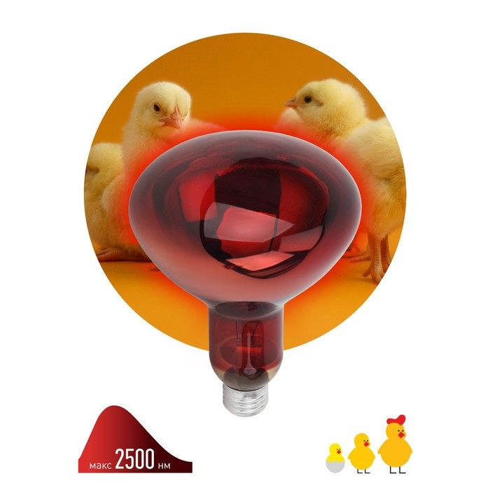 Инфракрасная лампа ЭРА ИКЗК 220-250 R127 для обогрева животных 250 Вт Е27 - фото 1 - id-p226132312