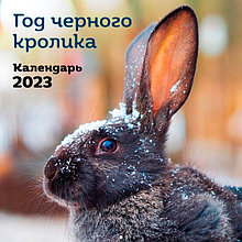 Год черного кролика. Календарь настенный на 2023 год (300х300 мм)