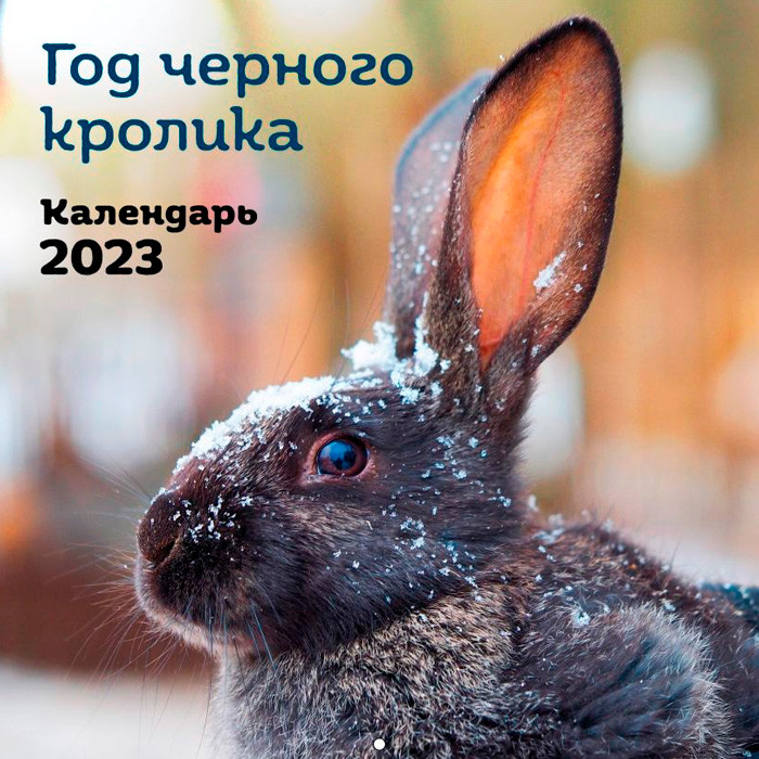 Год черного кролика. Календарь настенный на 2023 год (300х300 мм) - фото 1 - id-p226133629