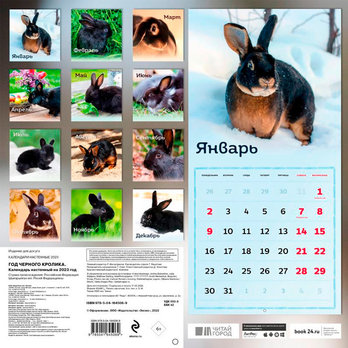 Год черного кролика. Календарь настенный на 2023 год (300х300 мм) - фото 2 - id-p226133629