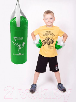 Бокс детский Absolute Champion Я-Чемпион 6кг груша + перчатки - фото 2 - id-p226151242