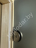 Стеклянная дверь для бани Fireway 1900х800, стекло графитовое прозрачное, фото 3