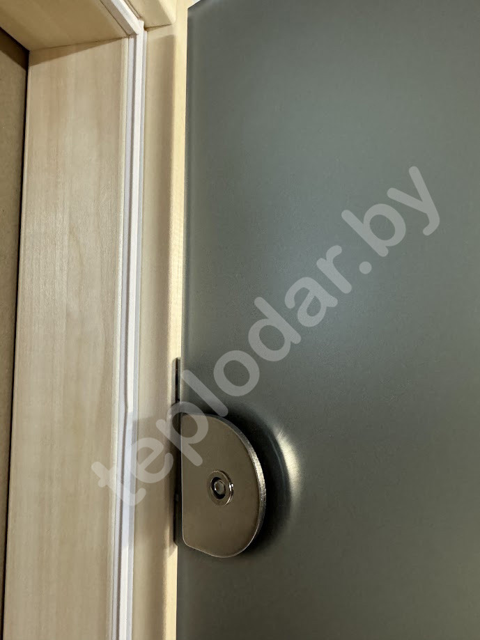Стеклянная дверь для бани Fireway 1900х800, стекло графитовое прозрачное - фото 3 - id-p226153044