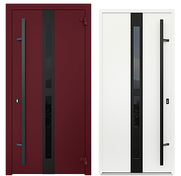 Двери металлические металюкс AG6012 (black)