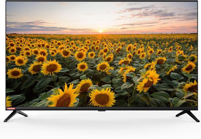 Телевизор 40 дюймов STARWIND SW-LED40BG200 Full HD - фото 1 - id-p226011374