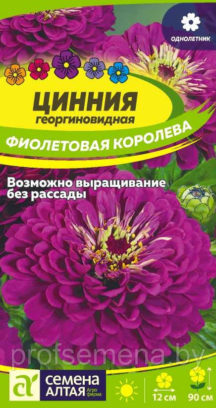 Цинния георгиноцветковая Фиолетовая Королева, семена, 0,3гр., Польша, (са) - фото 2 - id-p217340740