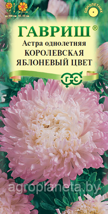 Астра Королевская ЯБЛОНЕВЫЙ ЦВЕТ, 0.3 г - фото 1 - id-p226155501