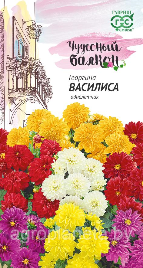 Георгина ВАСИЛИСА, 0.3 г