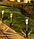 Набор садовых фонарей на солнечной батарее Solar Lawn Lamp 10 штук, фото 5