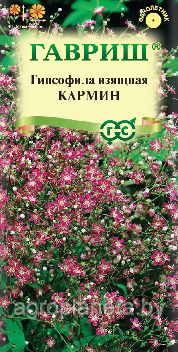 Гипсофила изящная КАРМИН, 0,1 г