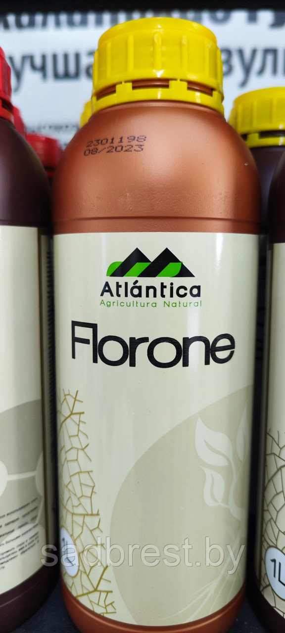 Атлантика Флорон Florone 1 л удобрение-биостимулятор Испания - фото 1 - id-p226158874
